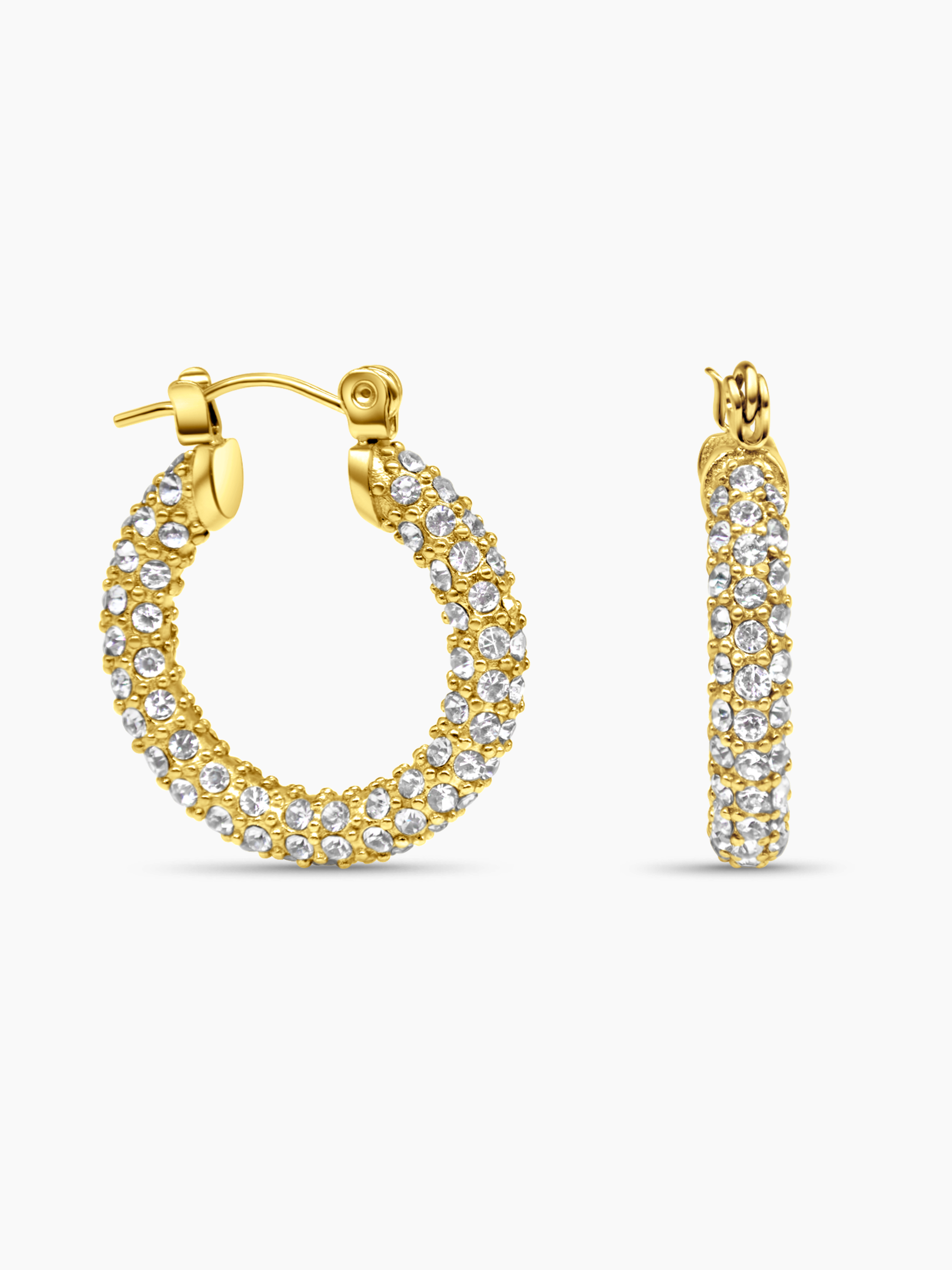 Gold Hoop Earrings